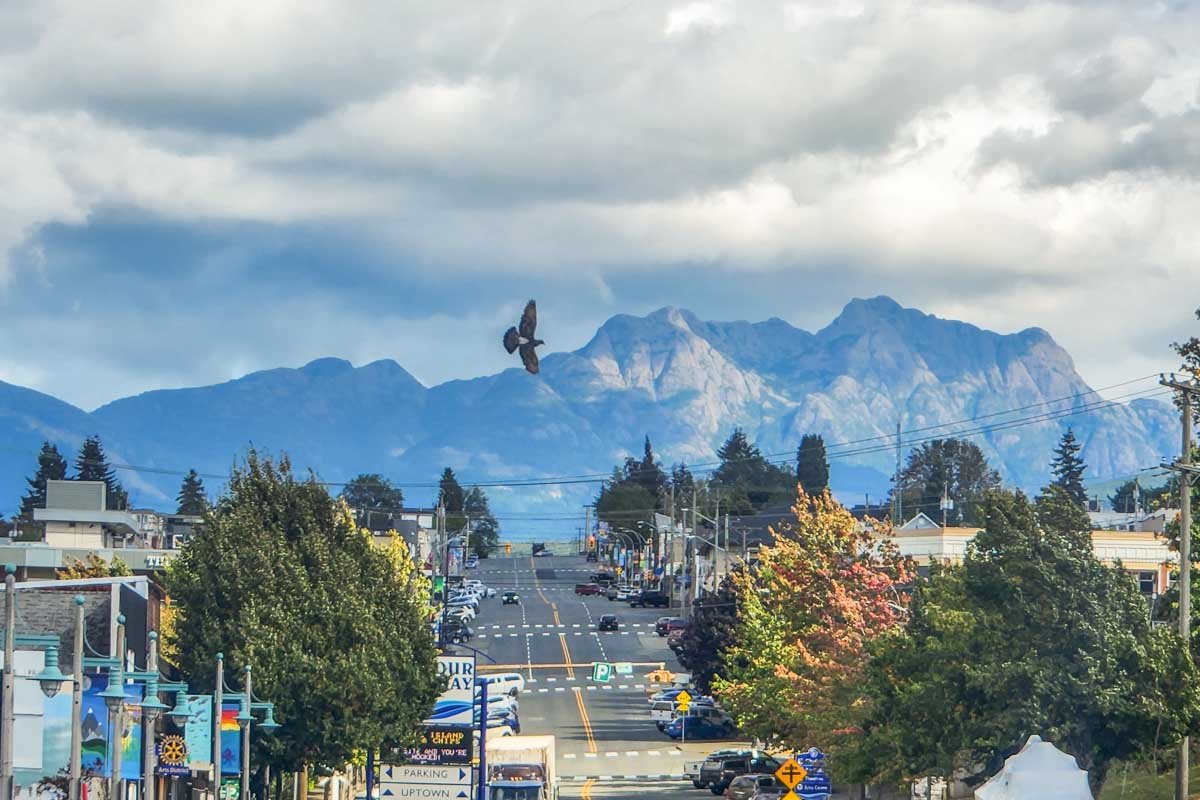 View down Port Alberni's uptown main street toward forested mountains, with a bird flying overhead